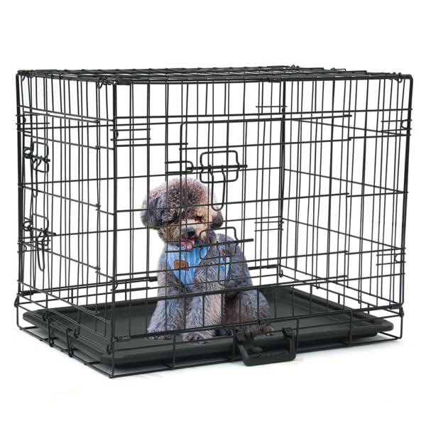 24-48 Inch Folding Dog Crate with Tray and Divider Panel Q253875