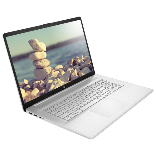 17.3" FHD Laptop AMD Ryzen 5 16GB 1TB SSD Silver H947565
