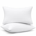 King Size Down Alternative Pillows Set of 2 C10278