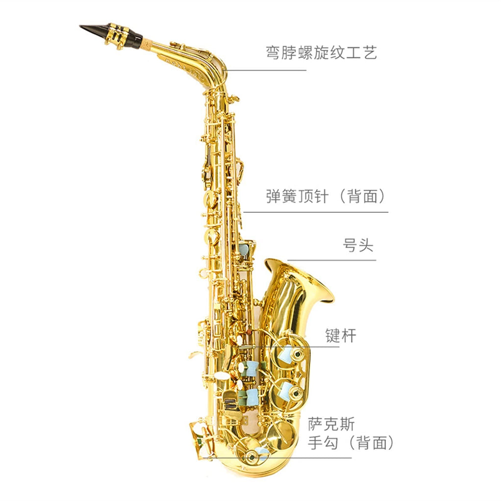 E Flat Alto Saxophone Y184