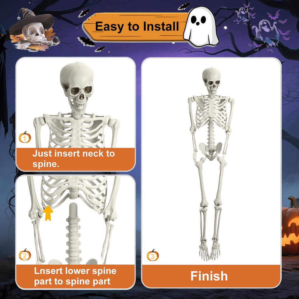 5.4FT Posable Life Size Skeleton T719