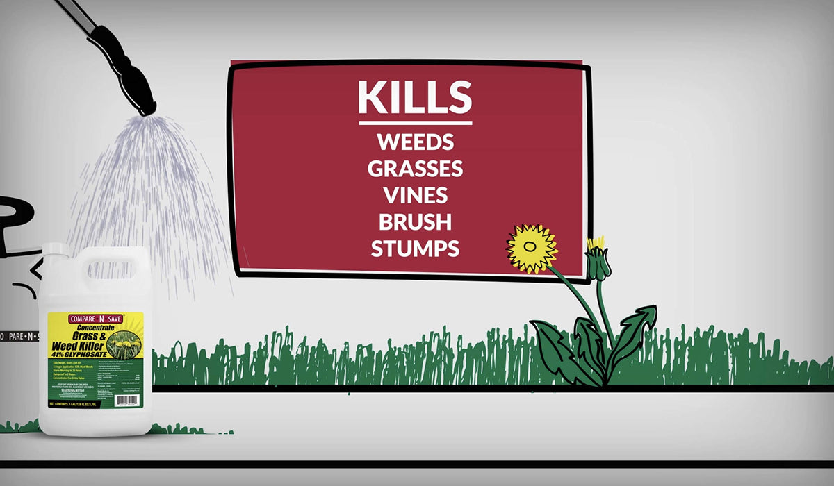 Glyphosate Concentrate Grass & Weed Killer Herbicide, 16-ounce Y863