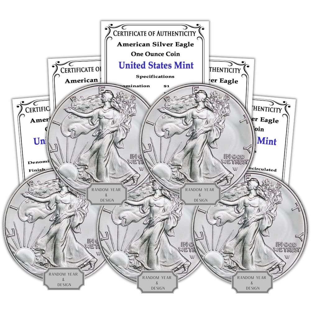 1 oz American Silver Eagle Coins F6673