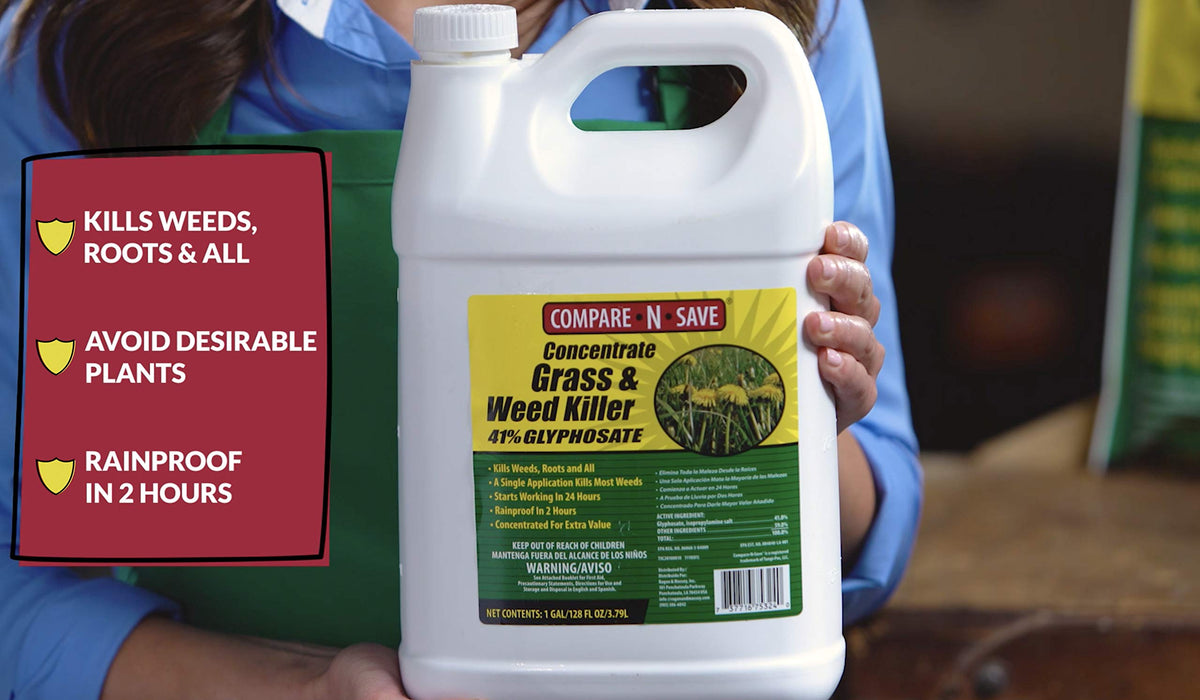Glyphosate Concentrate Grass & Weed Killer Herbicide, 16-ounce Y863