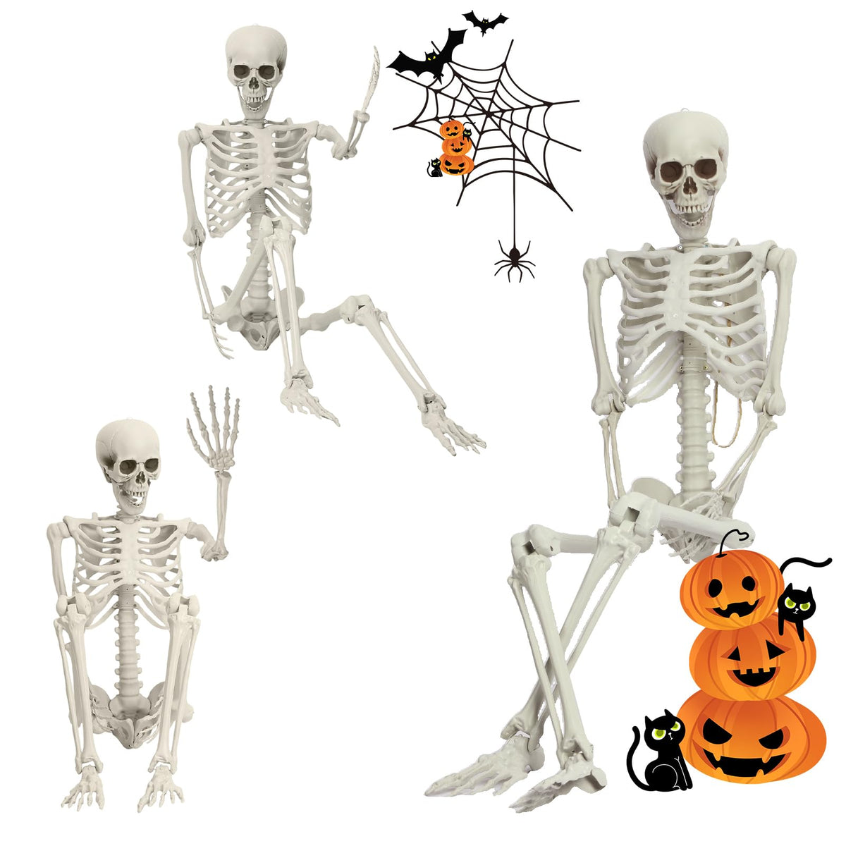 5.4FT Posable Life Size Skeleton T719