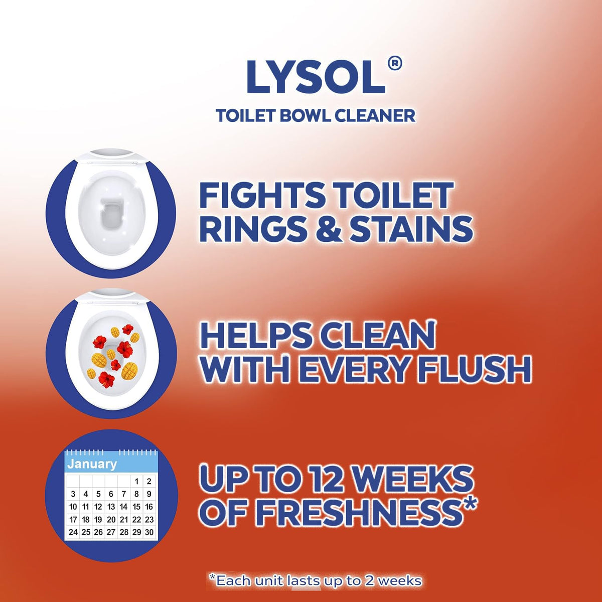 Mango Gel Toilet Bowl Cleaner 6 Count A9012