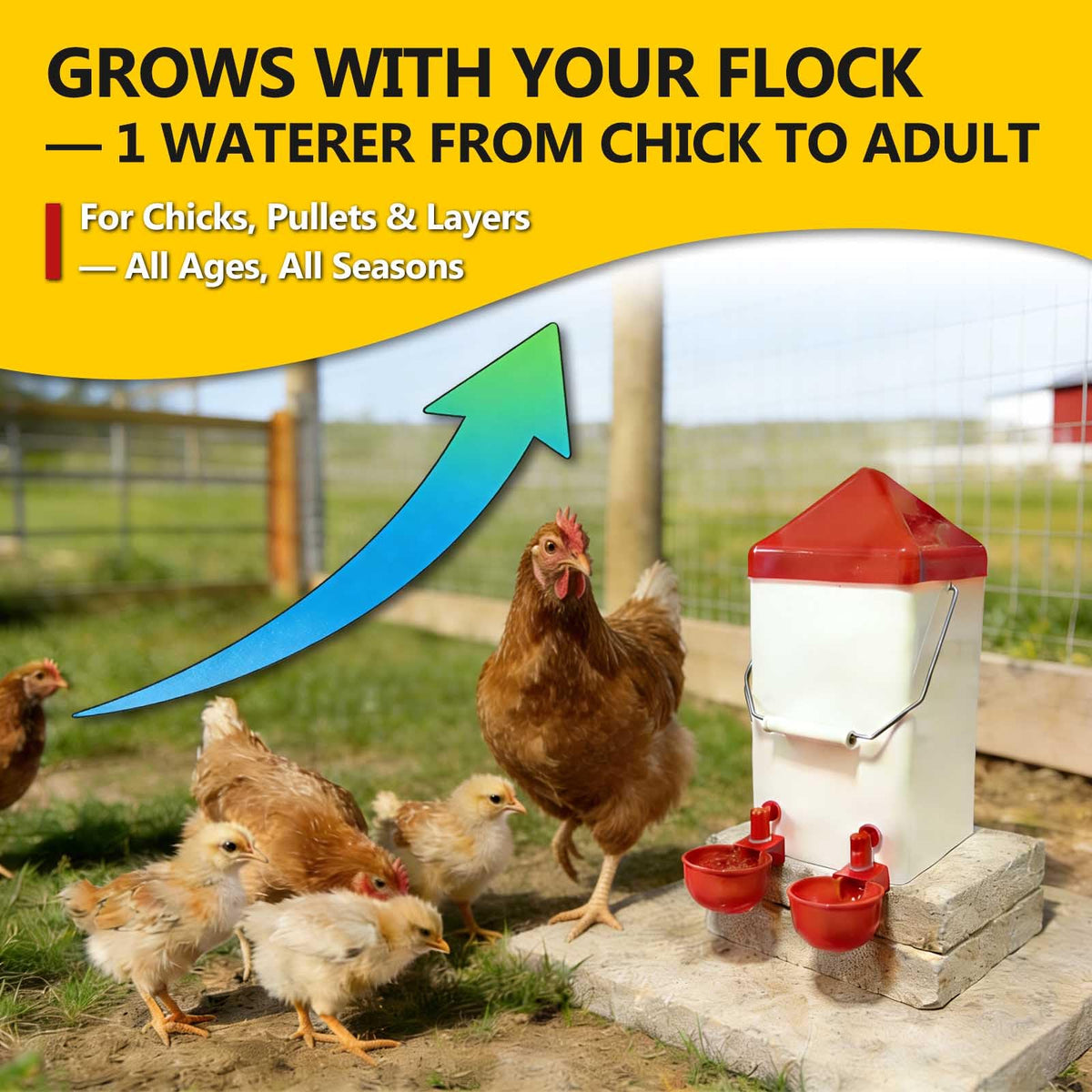 PVC Hanging Chicken Waterer with Hook, 1 Gal W297