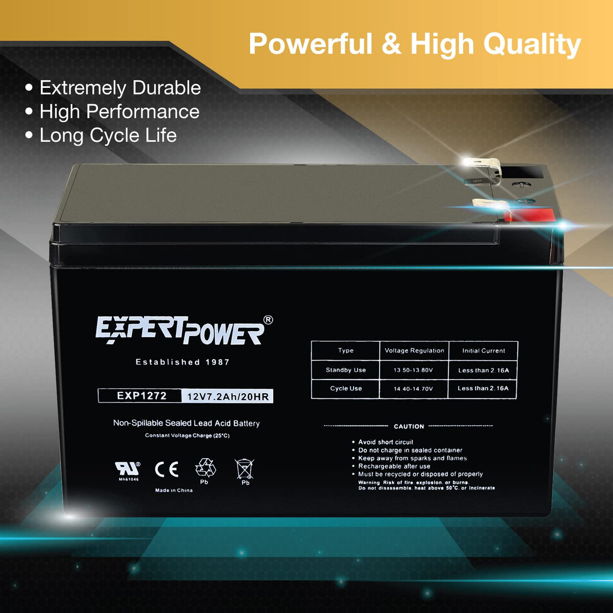 12V 7.2Ah SLA Battery with F2 Terminals X597958
