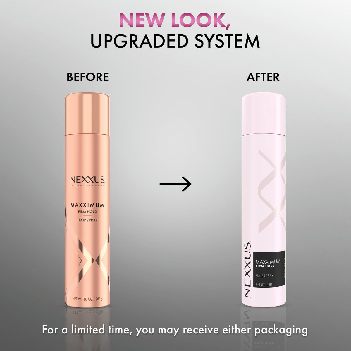 Firm Hold Hairspray 10 oz B6553