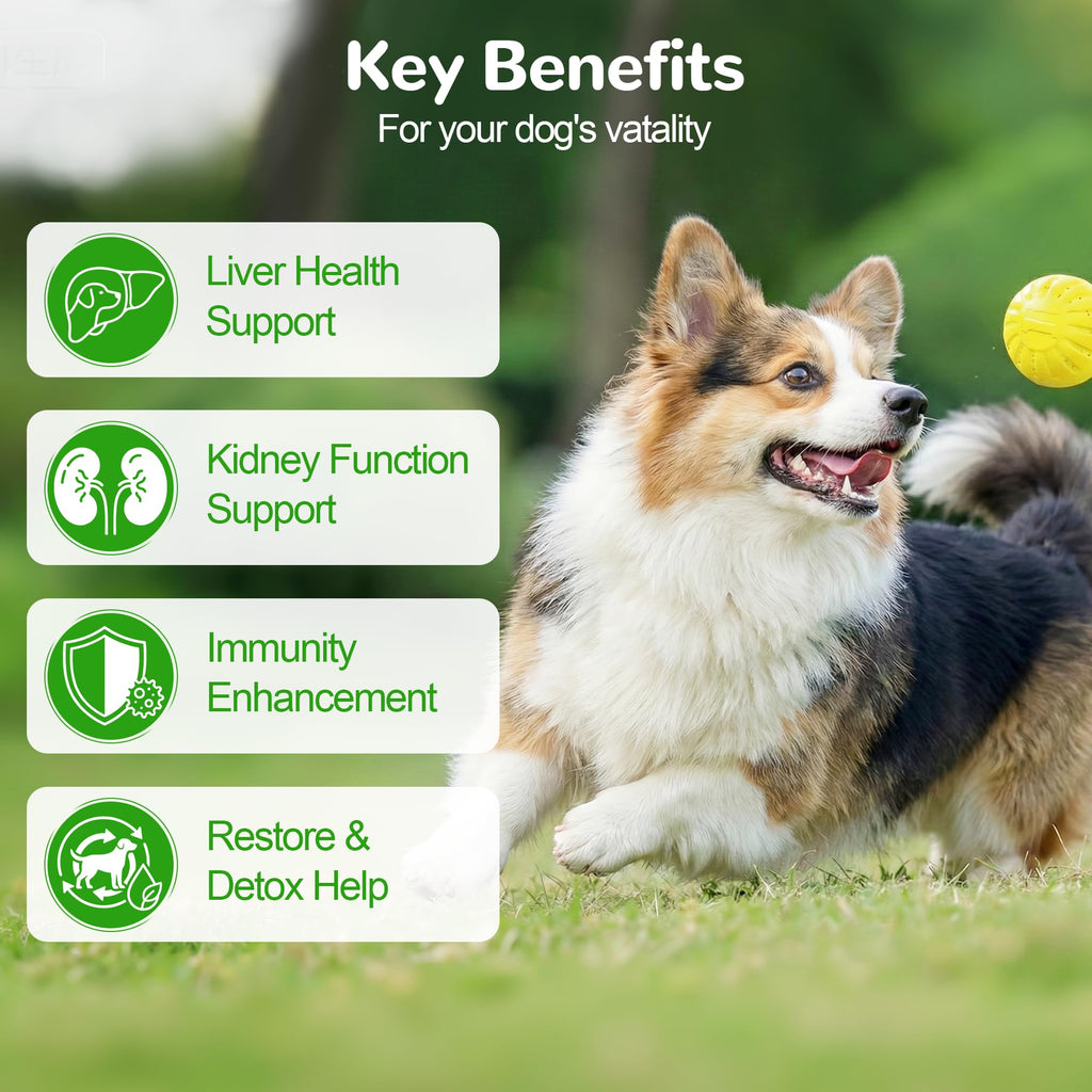 Dog Liver Support Supplement, Milk Thistle 200ct H201753