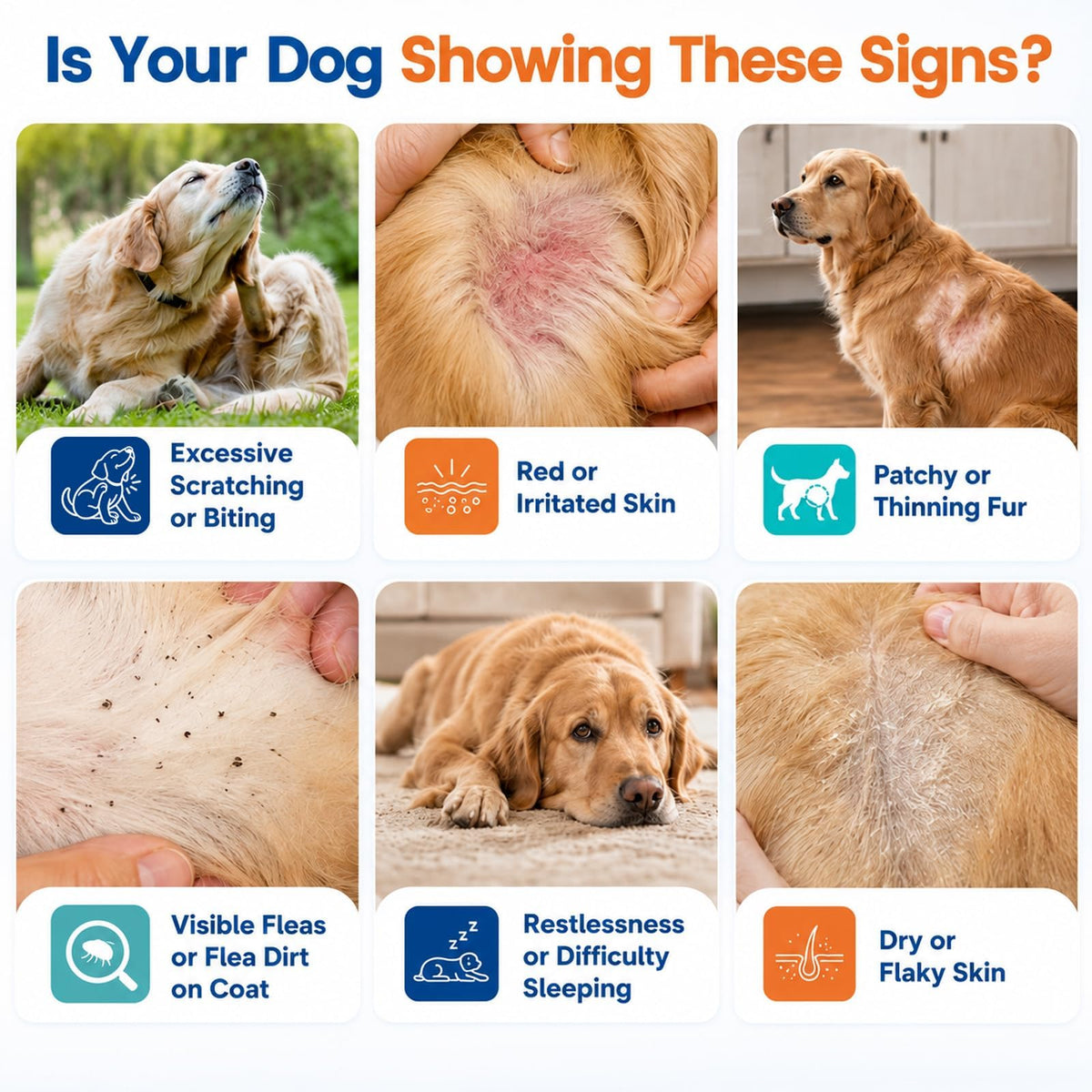 Flea and Tick Chews E599