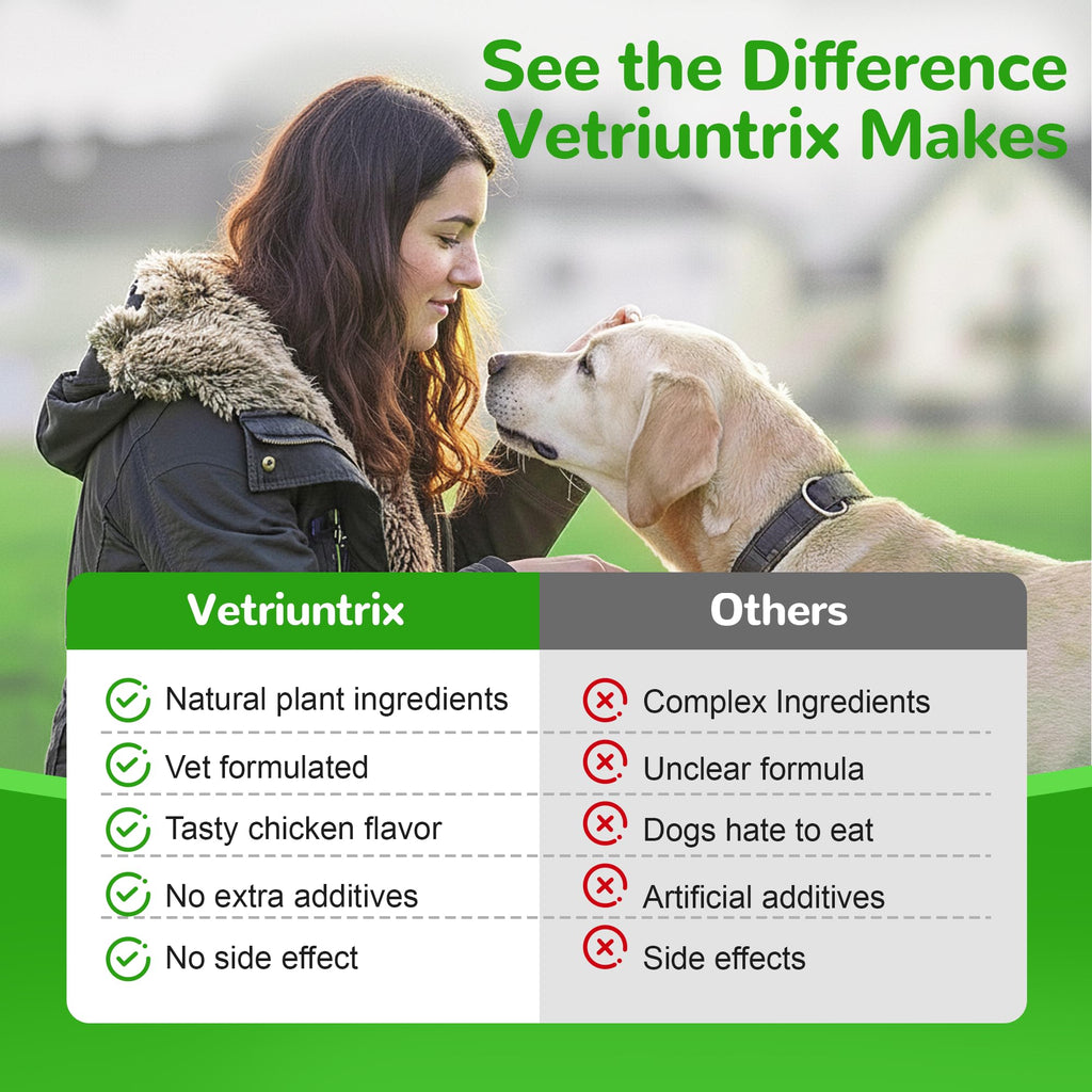 Dog Liver Support Supplement, Milk Thistle 200ct H201753