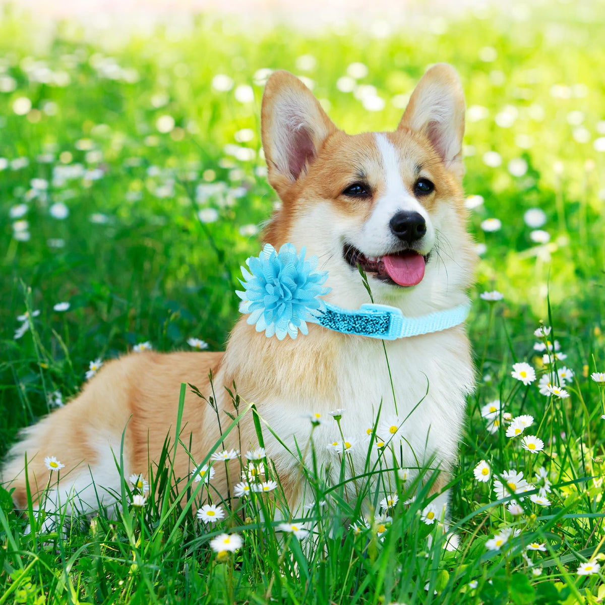 120 Pcs Multicolor Dog Collar Bows Q14650