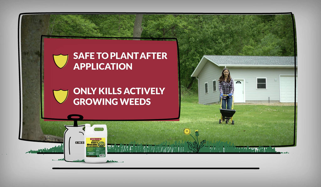 Glyphosate Concentrate Grass & Weed Killer Herbicide, 16-ounce Y863