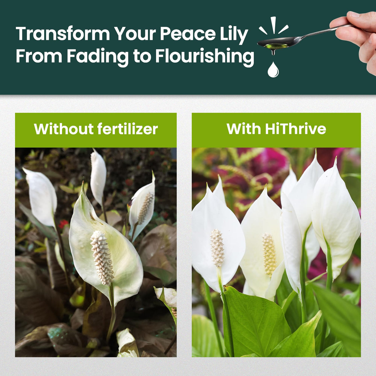 16oz Fertilizer X96377