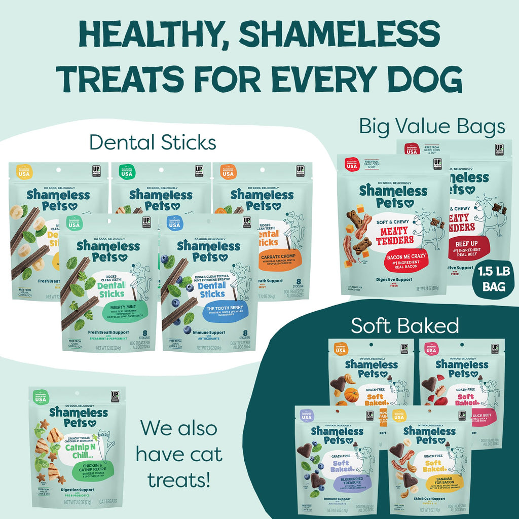 Soft Dog Treats 8oz Z15152