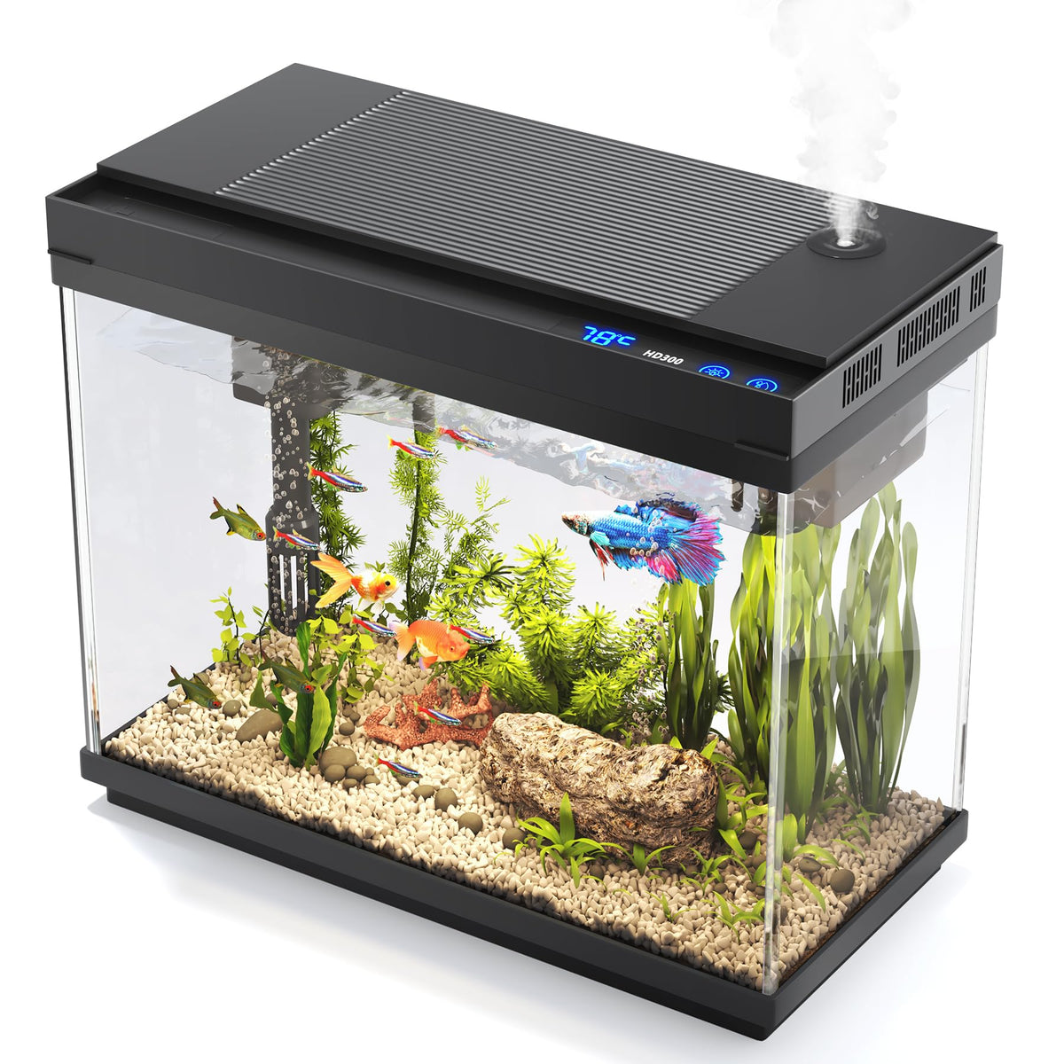 2.4-Gallon Aquarium Starter Kit with Quiet Pump O352