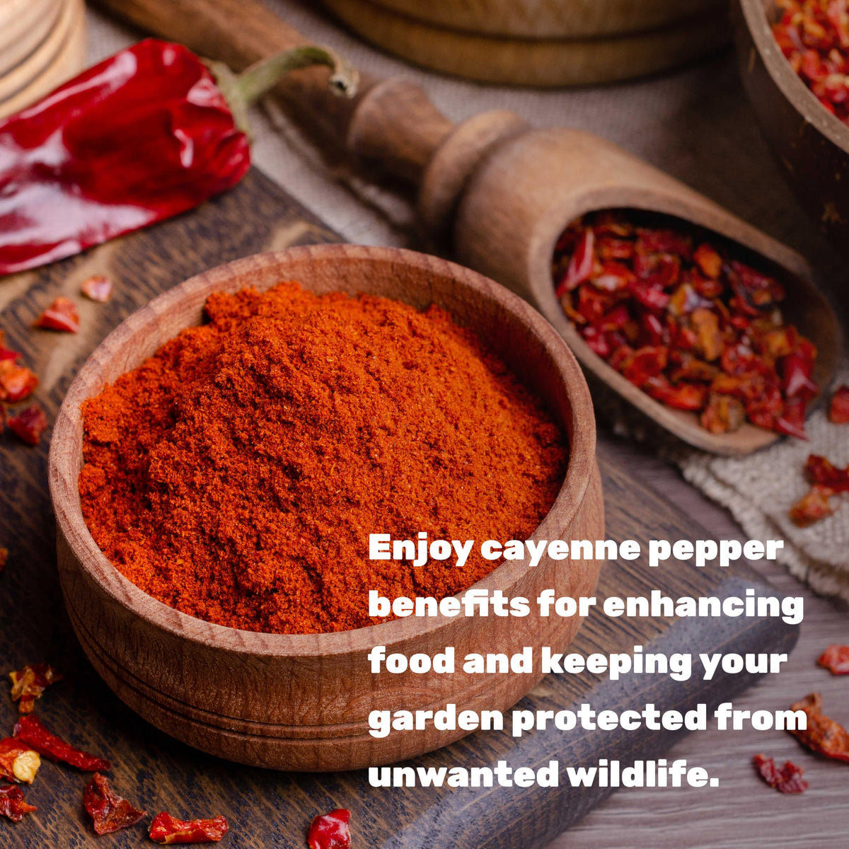 Ground Cayenne Pepper Powder, 5 Pounds E6943